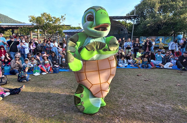 Que tal um mergulho no mundo das tartarugas marinhas nesse Carnaval?